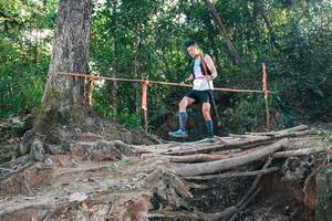 BIB: 
                            <button type="button" onclick="openModal(27304600)" class="btn btn-primary btn-sm float-right btn-popup" data-toggle="modal" data-target=".modal-high-quality">
                        <i class="fas fa-shopping-cart"></i> Add to Cart
                    </button>
                                            <button type="button" onclick="isThisMe(27304600, true)" class="btn btn-success btn-sm float-right btn-popup btn-isme hidden" data-toggle="tooltip" data-placement="bottom" title="นี่คือรูปของคุณใช่ไหม คลิกที่นี่เพื่อเอาเข้าอัลบั้ม">
                        <i class="fas fa-plus"></i> Add to album
                    </button>
                    <button type="button" onclick="isThisMe(27304600, false)" class="btn btn-warning btn-sm float-right btn-popup btn-isnotme hidden">
                        <i class="fas fa-ban"></i> Remove from album
                    </button>